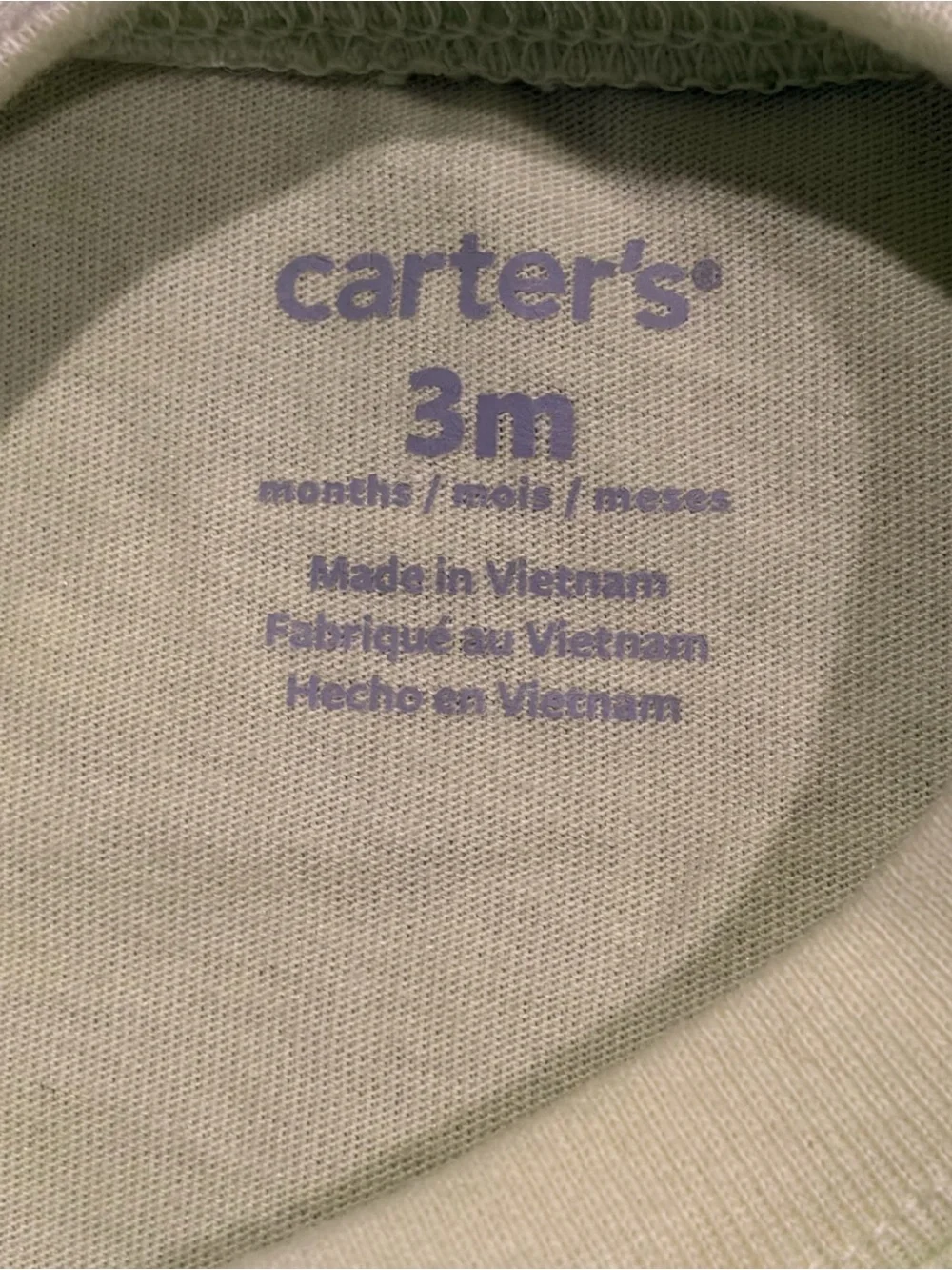 Carter's Light Green Tee with Blue Dinosaur Graphic